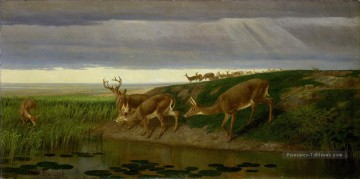 Deer on the Prairie William Holbrook Barbe Peinture à l'huile